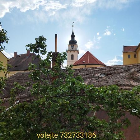 Apartman Horni Hermanuv Mestec U Chrudimi Extérieur photo